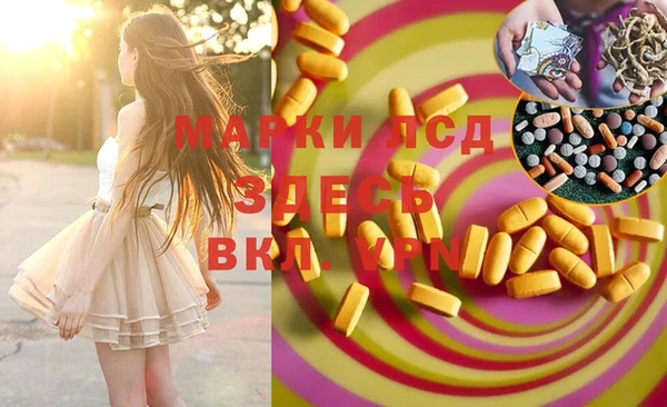 ECSTASY Кодинск