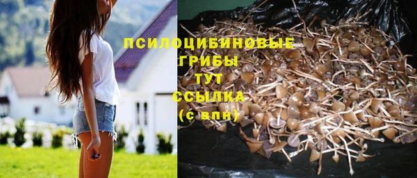 мескалин Козловка