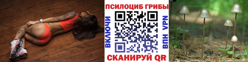 Псилоцибиновые грибы Psilocybine cubensis Купить закладки Боготол